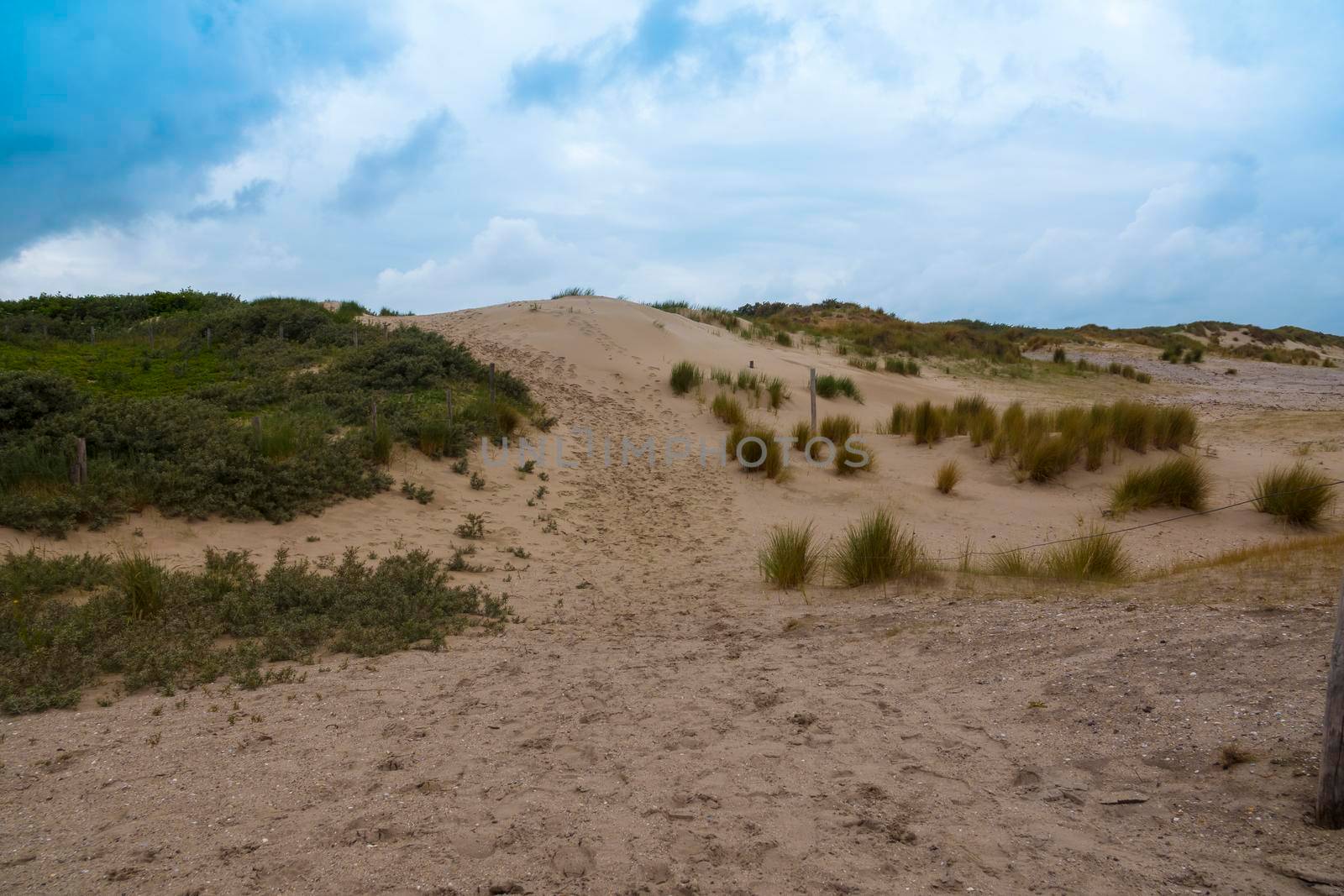 Sand dunes in the Holland desert with grass to protect against the wind