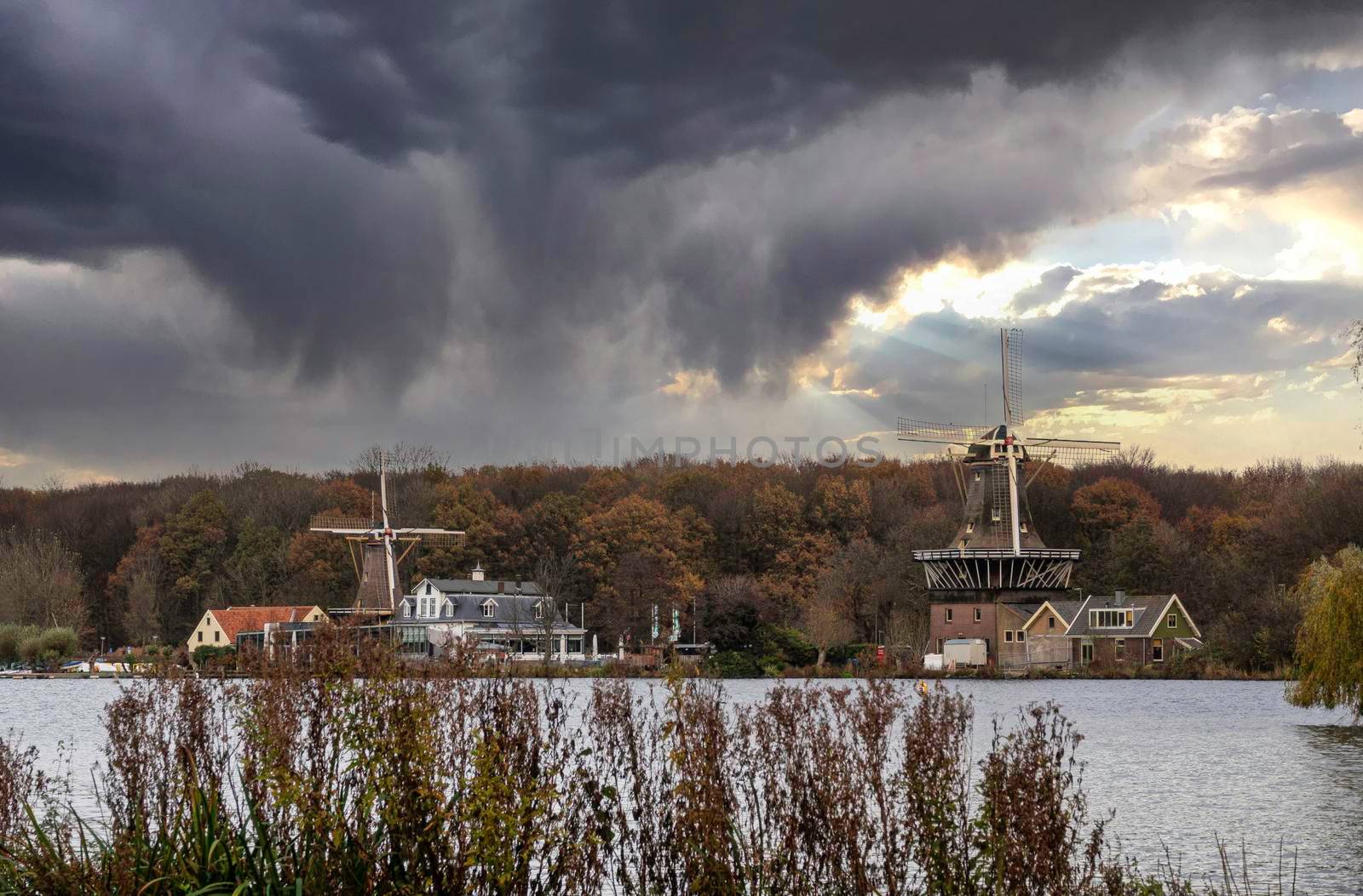 rotterdam with dutch mills as background by compuinfoto