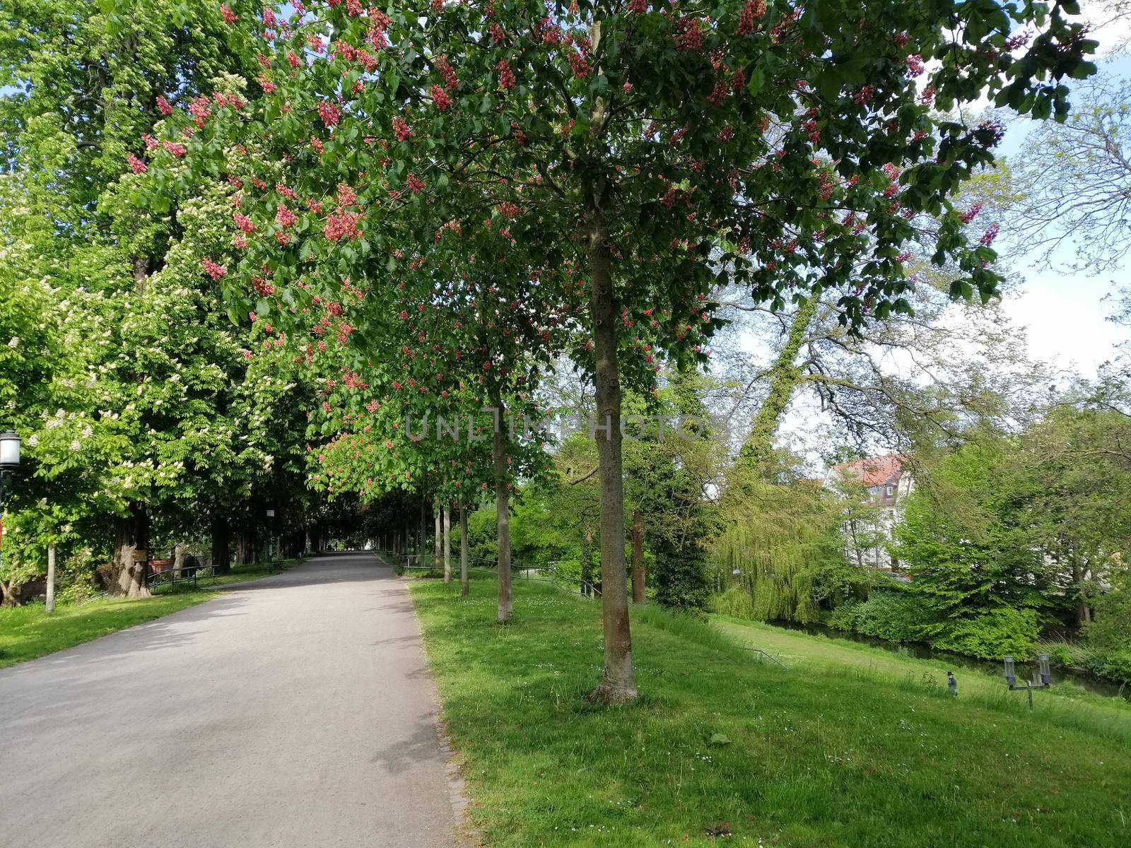 Park near the city of Greifswald. The inner city of greifswald, germany.