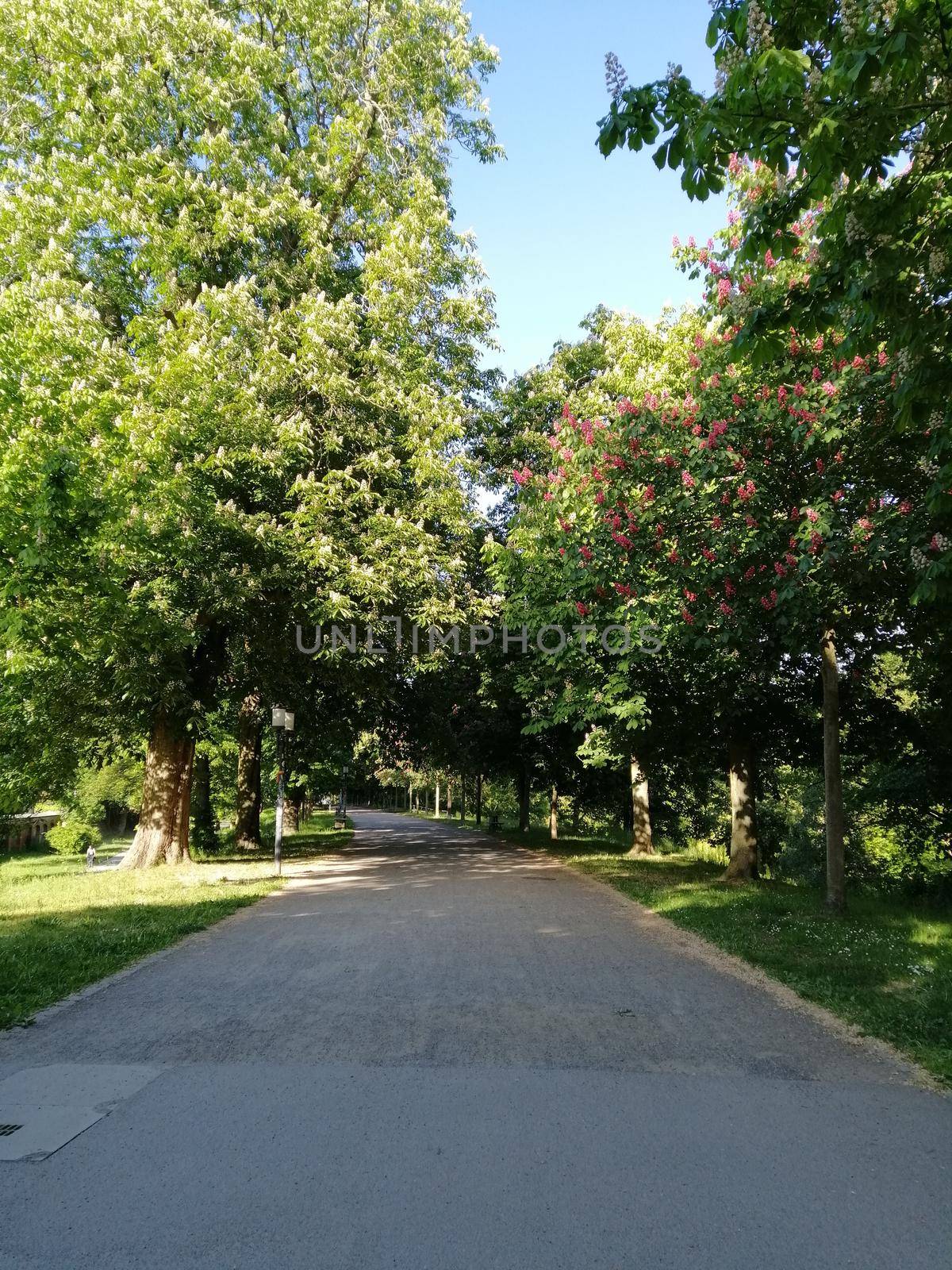 Park near the city of Greifswald. The inner city of greifswald, germany.