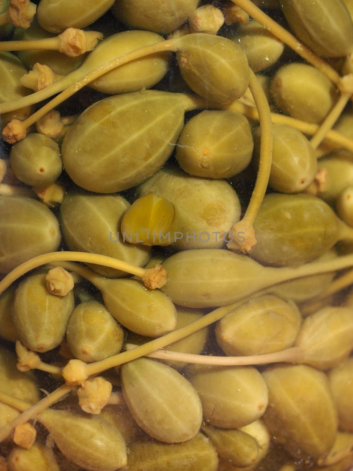 pickled caper berries fruits in a glass jar