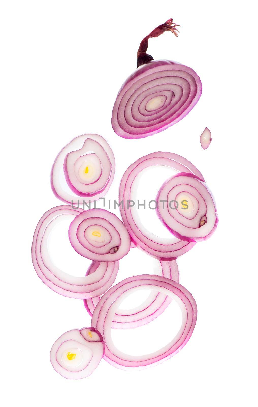 onion cut into rings drops on white background by aprilphoto