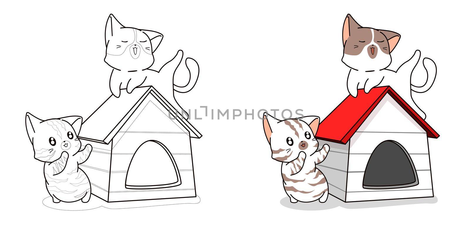 Couple cute cat in house cartoon coloring page