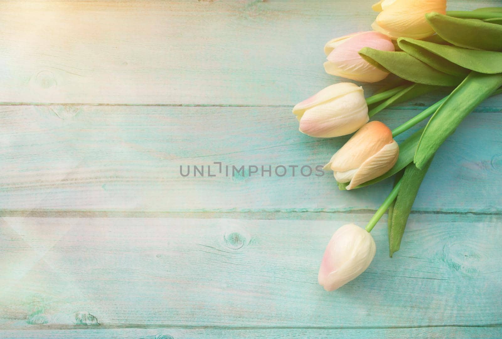 Spring pink bouquet of tulips flower on color wooden background. Tulip, gardening concept. Top view, copy space for your text.