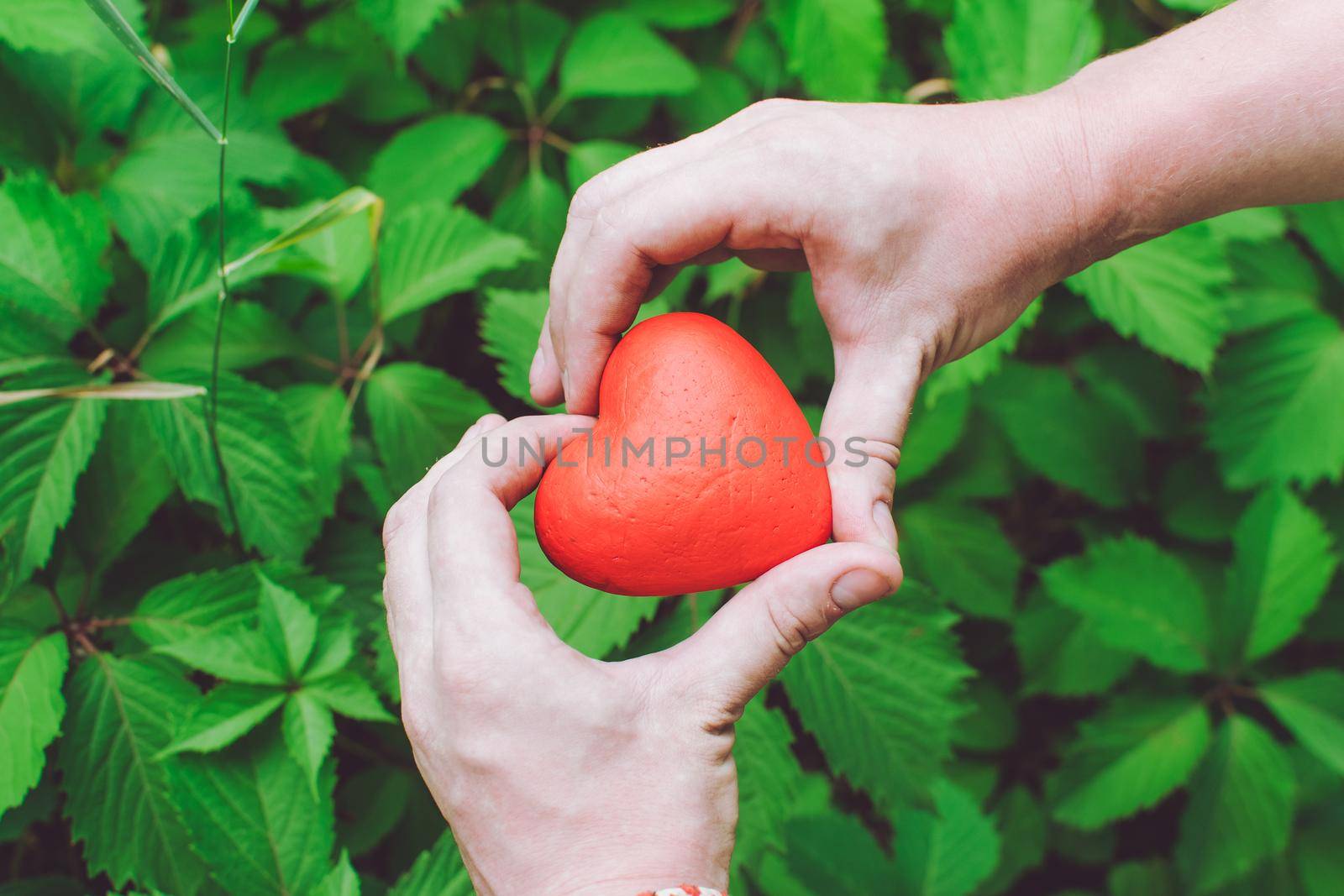 people, relationship and love concept - close up of mans hands holding red heart on green background