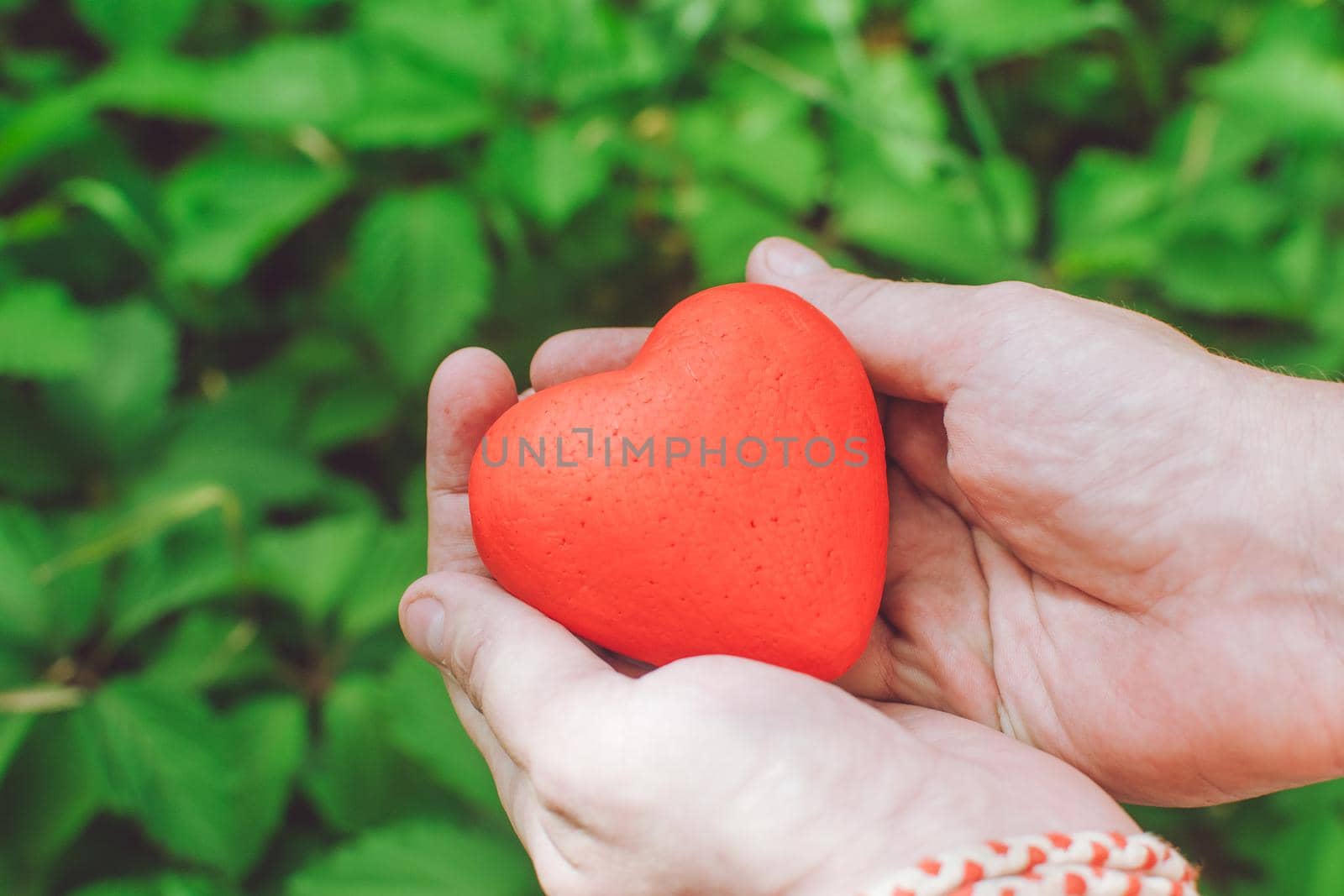 people, relationship and love concept - close up of mans hands holding red heart on green background
