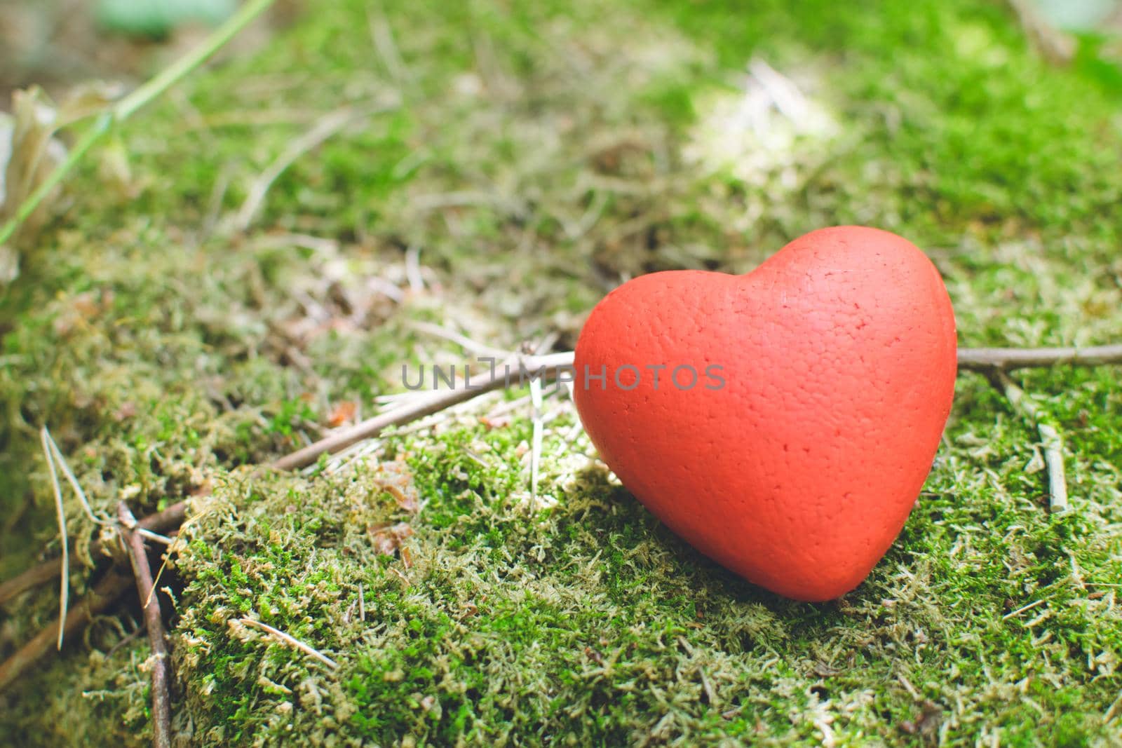 Decorative red heart lying on the moss in the forest. Love concept
