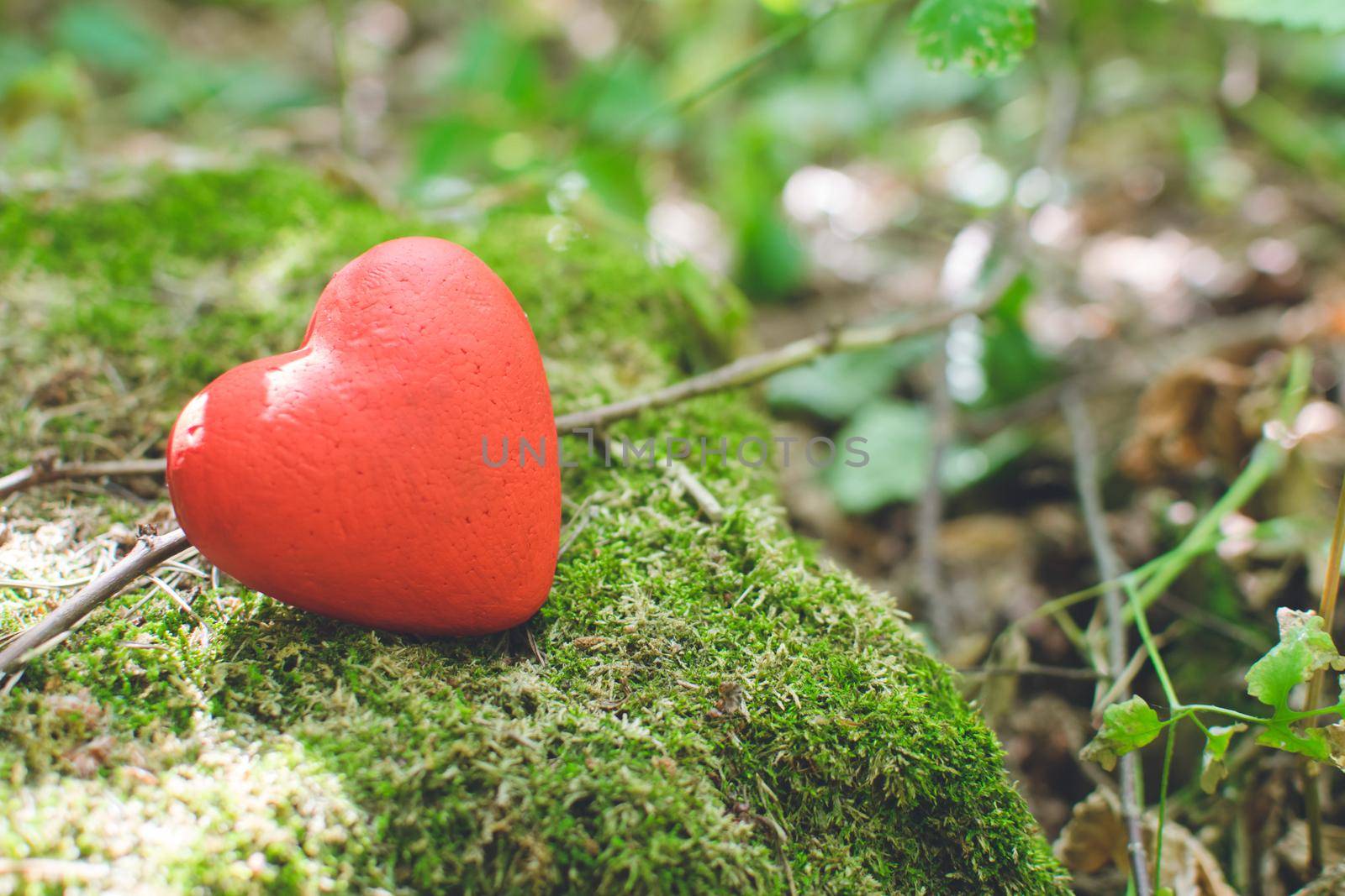 Love concept. Red decorative heart in the forest.