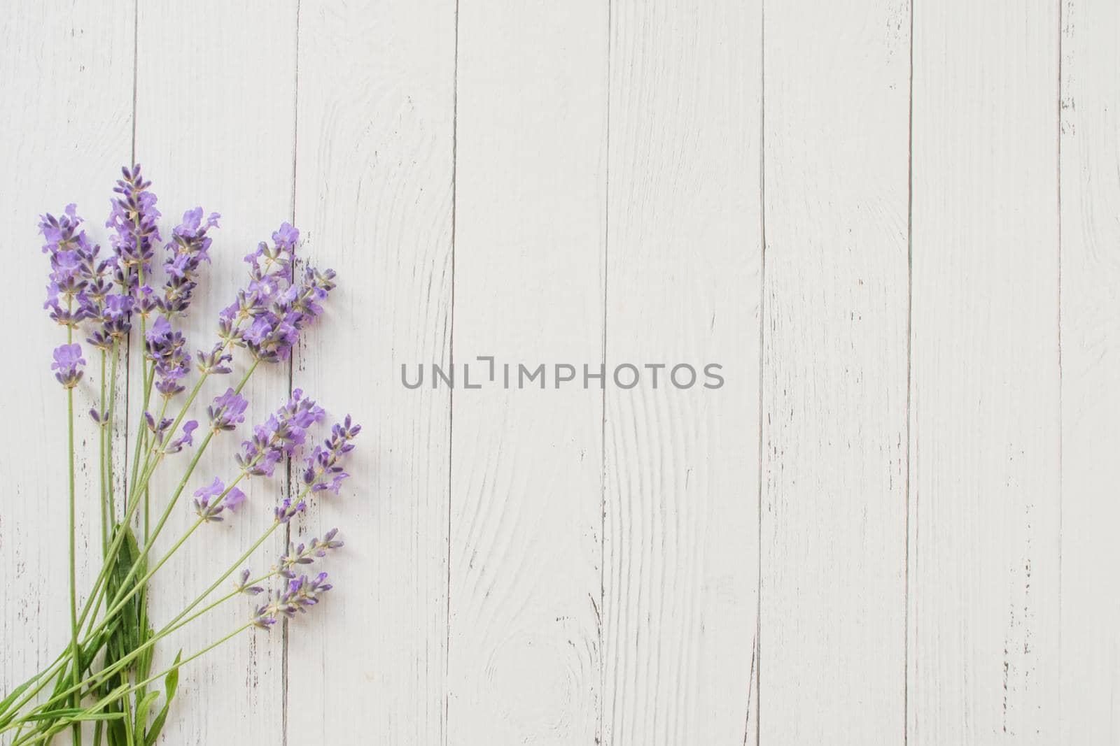 Composition of lavender on wooden background. Fresh summer flowers. Free space
