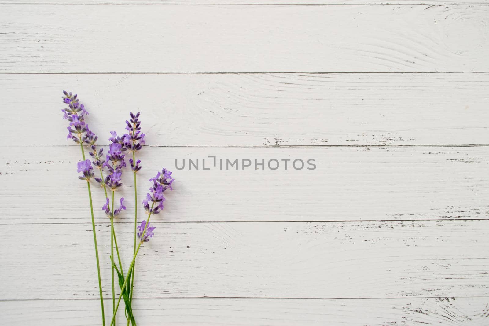 Composition of lavender on wooden background. Fresh summer flowers. Free space