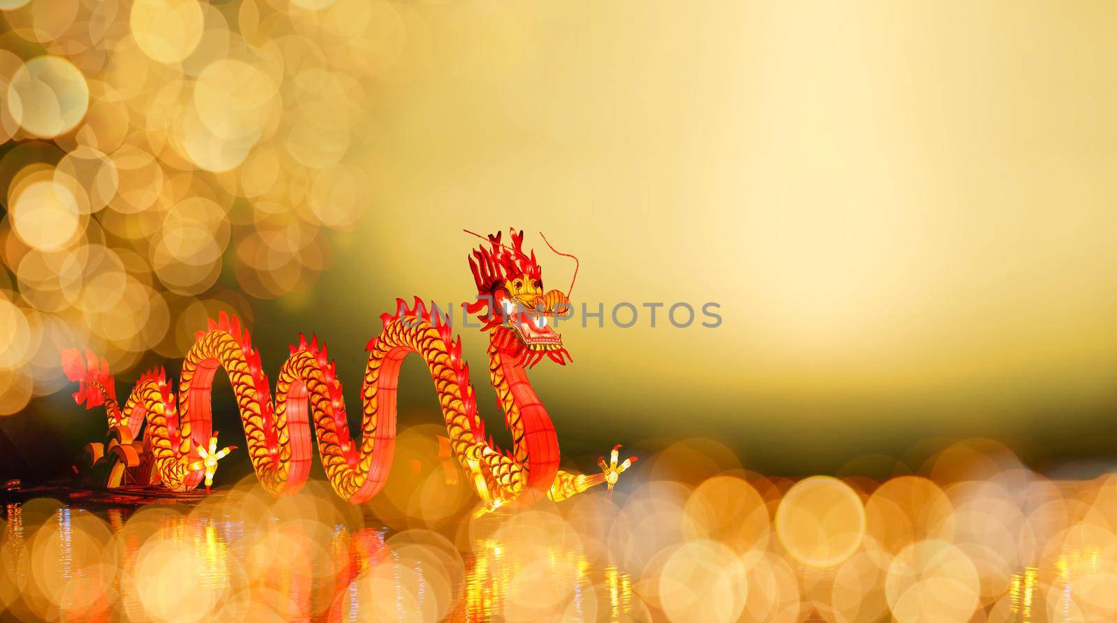 Chinese New Year Dragon