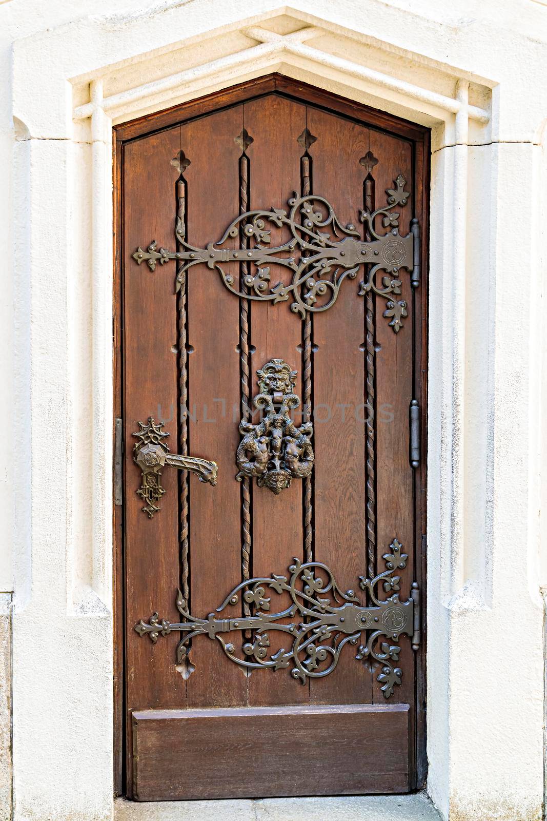 Light brown, antique wooden doors with carvings and patterns. Metal handles made of gold. A semicircular vault. Entrance to the house.