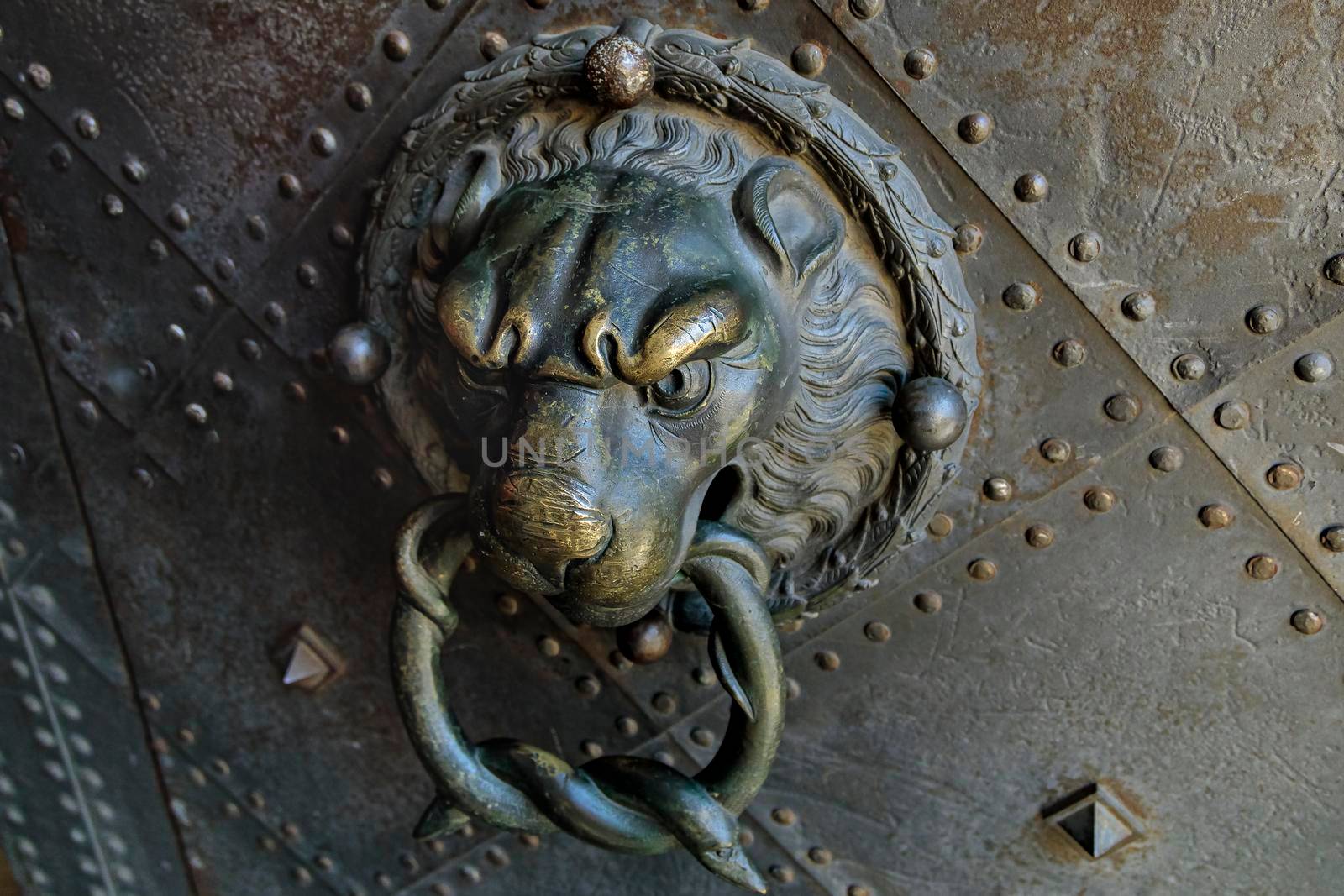 The old metal handle on the iron door is made in the form of a lion's head
