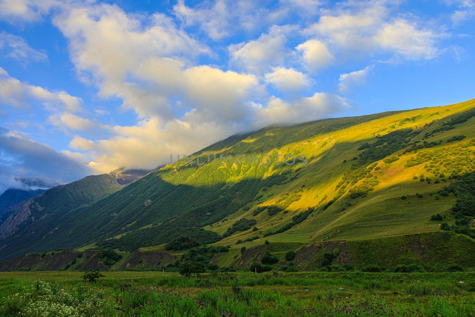 High mountains of the Caucasus with beautiful views. Green vegetation and dense forest above a blue sky. A great fascinating landscape.