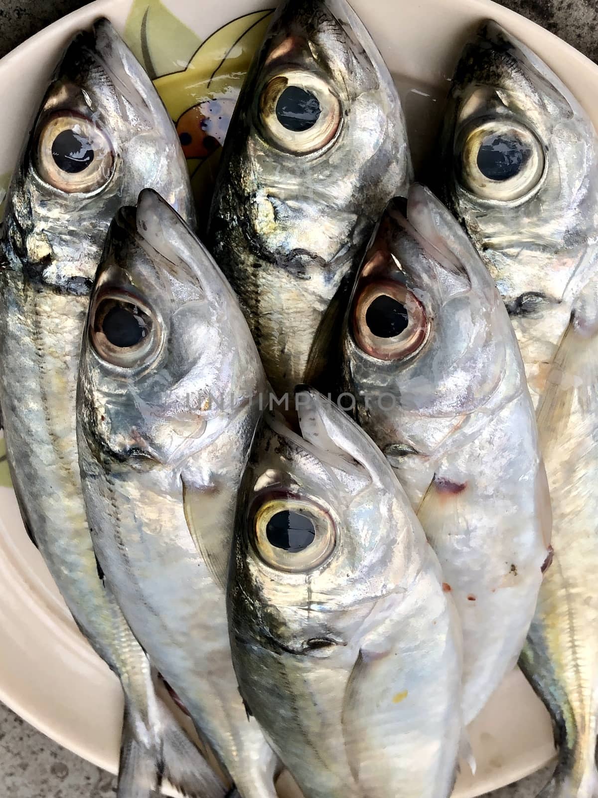 Fresh lady raw fish kept for sale in the market