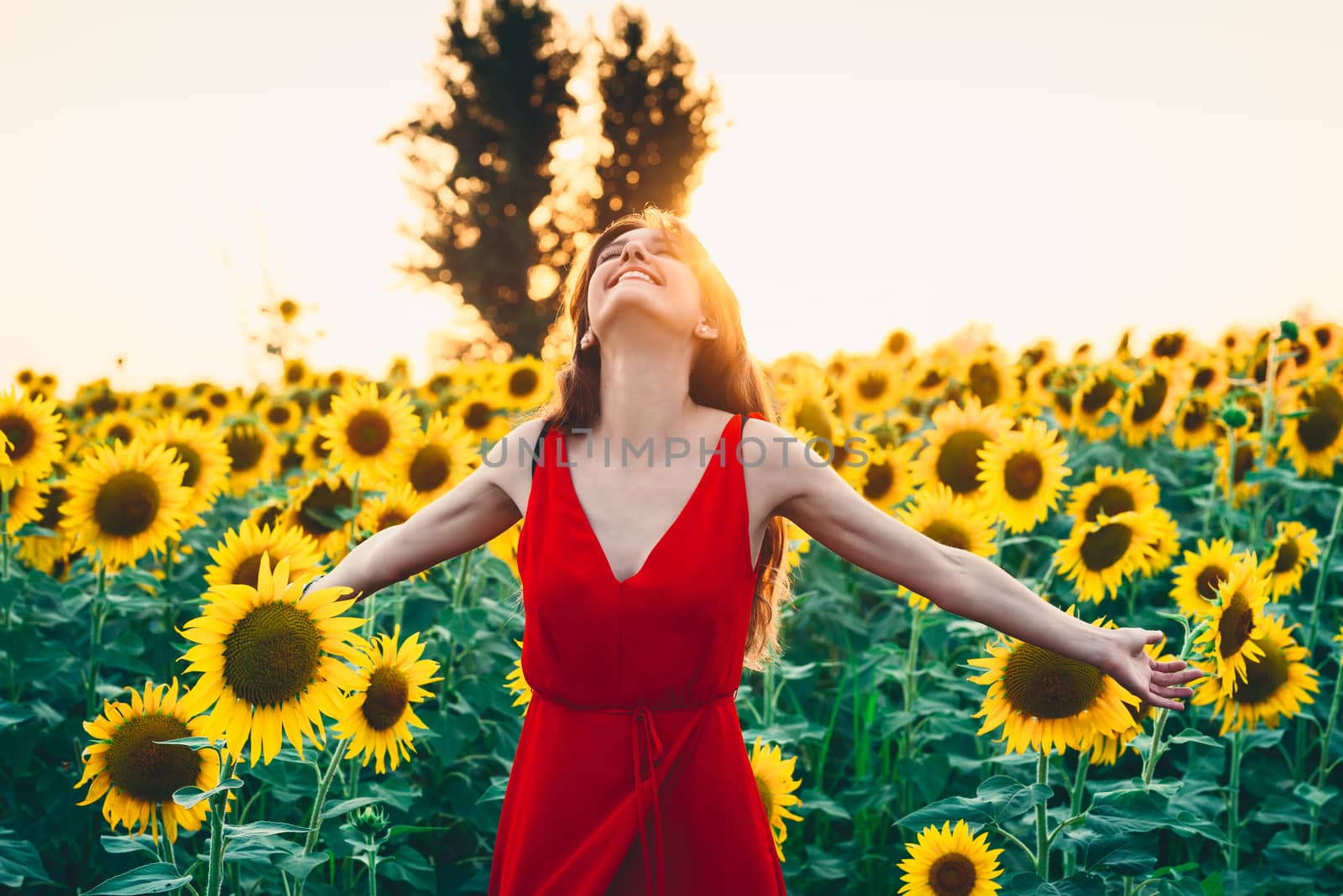 Beautiful woman with long hair in a field of sunflowers. Active, raise by Fotoeventis