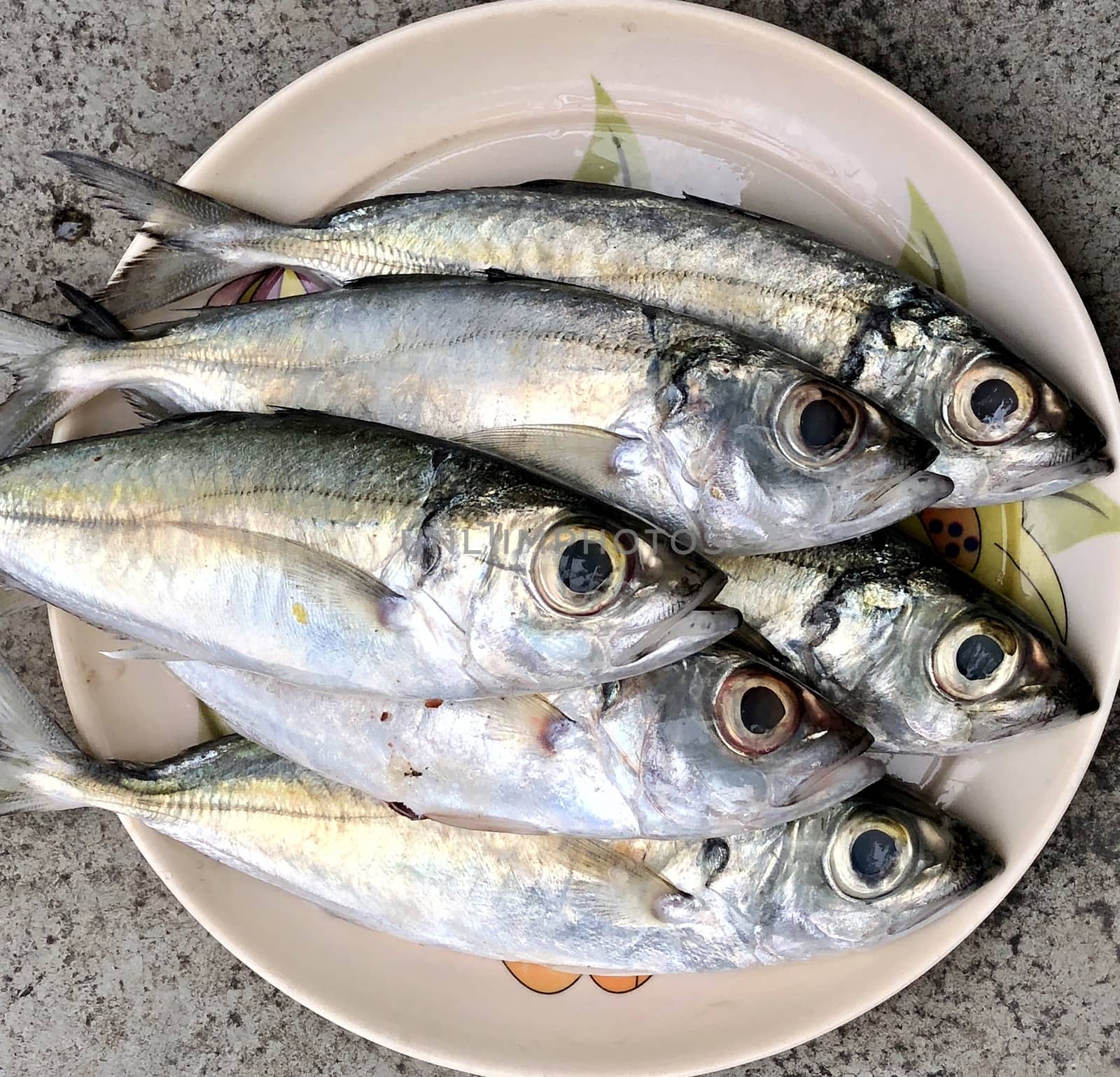 Fresh lady raw fish kept for sale in the market