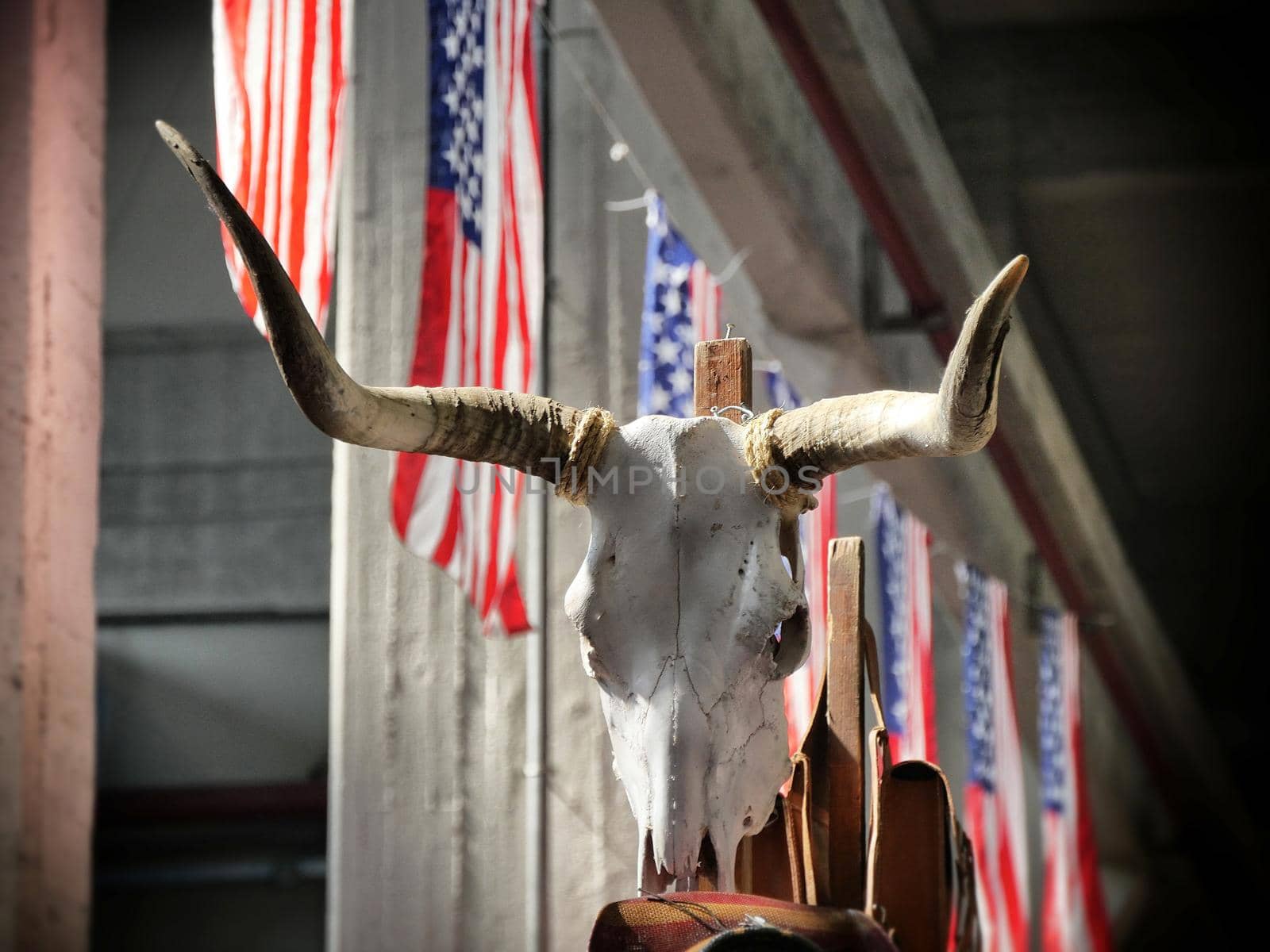 iconic western bull longhorn skull on USA flags background