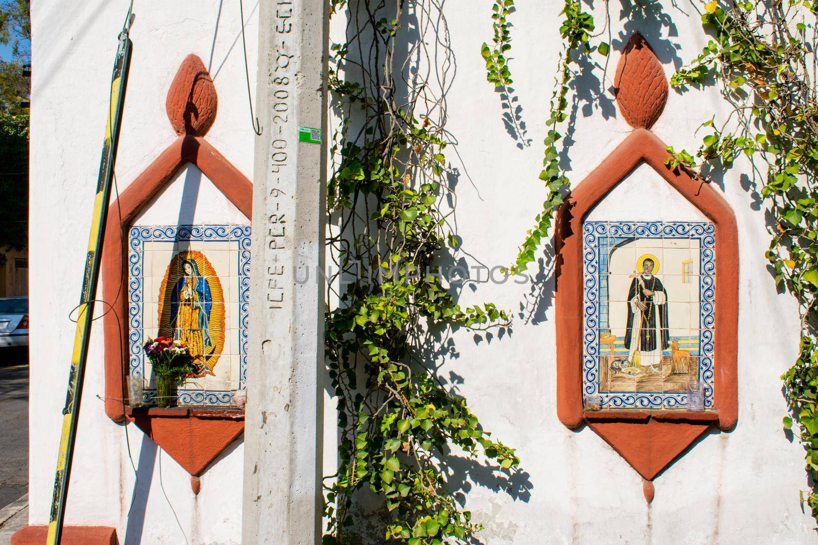 Religious images made with tiles on white wall surrounded by climbing plants. Sunlight on wall with portraits of saint and virgin and green leaves. Mexican culture and religions