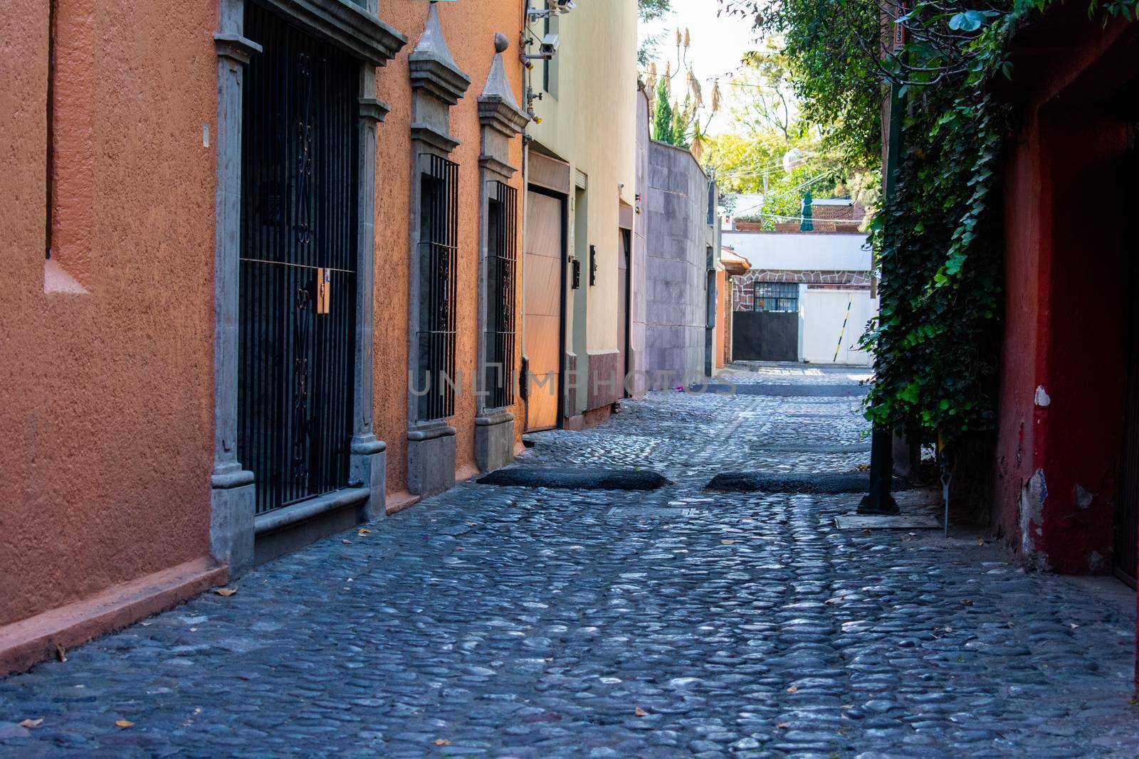 Colorful houses and bushes in empty cobbled alley from Mexico City. Narrow path surrounded by classic Hispanic homes and nature. Colorful Mexican neighborhood