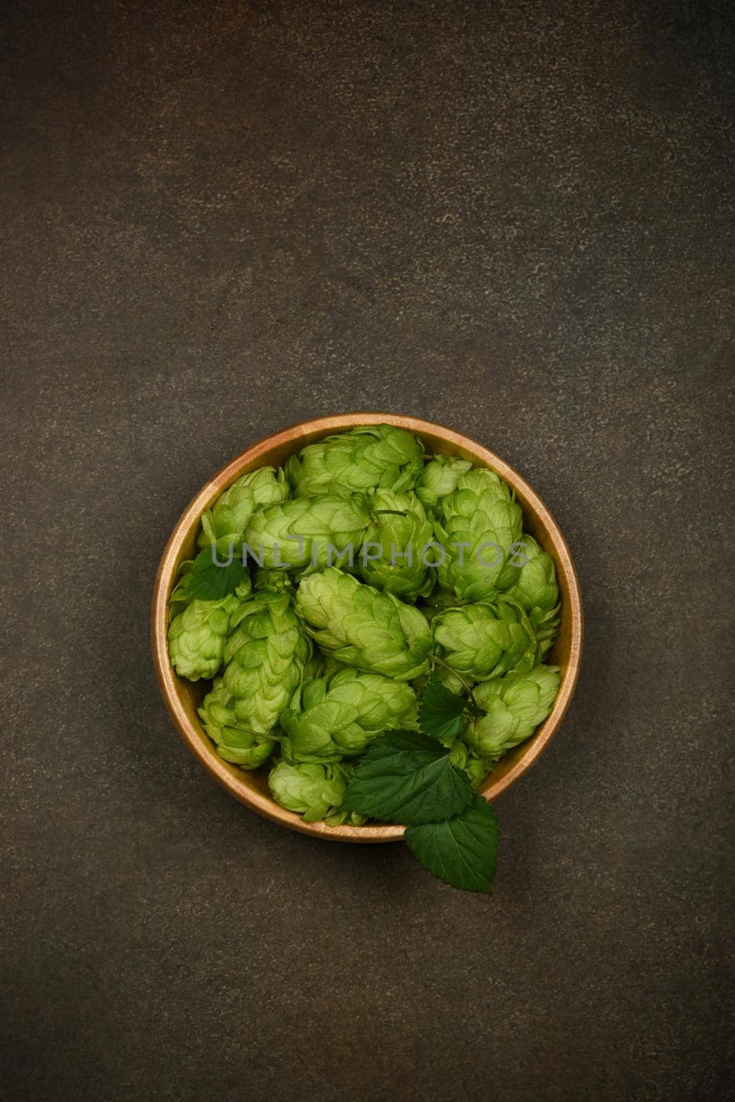 Close up one wooden bowl of fresh green hop flowers on dark grunge brown table background, elevated top view, directly above
