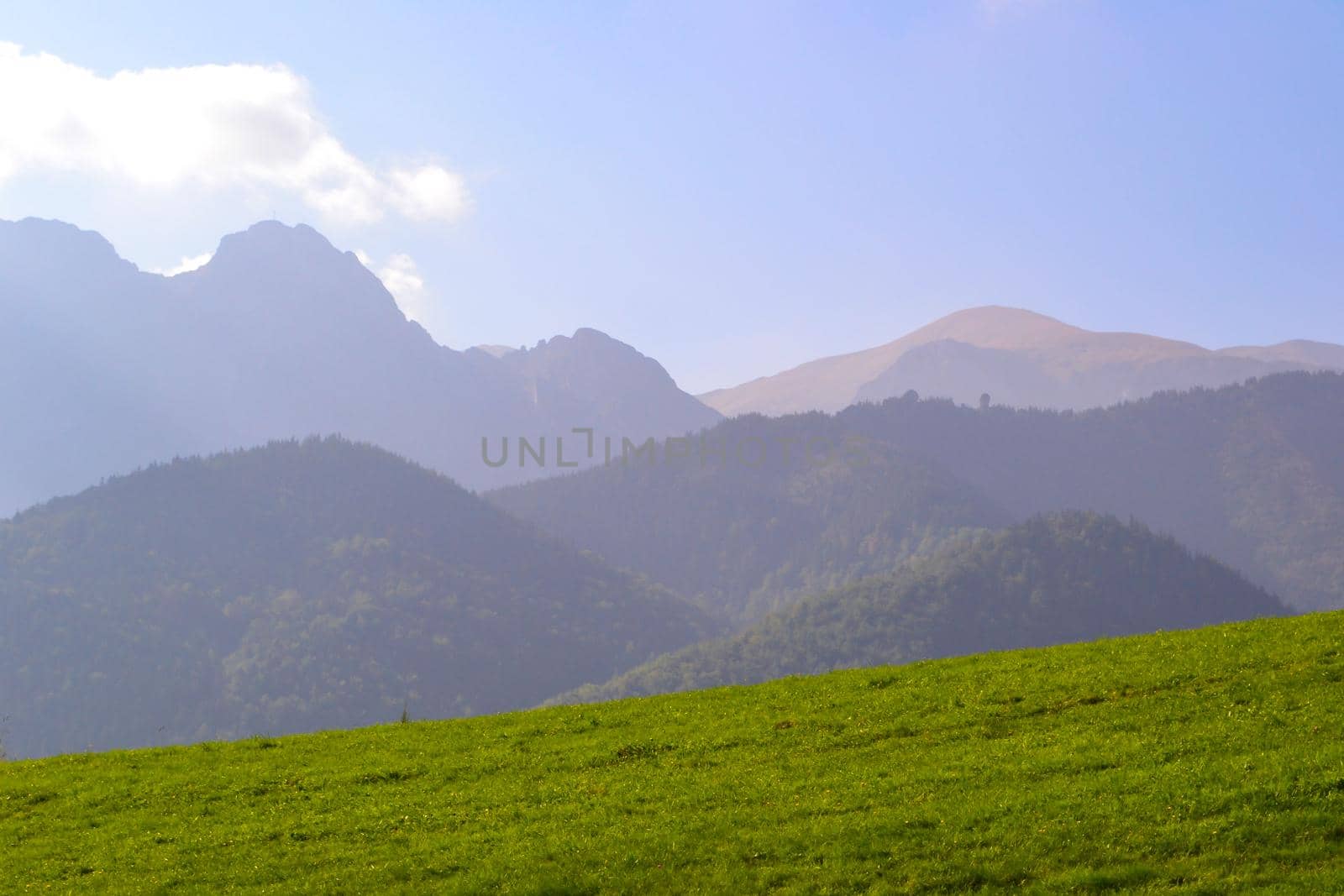 Green meadow in front of mountains in a slight haze. Spring nature and freshness. by mtx