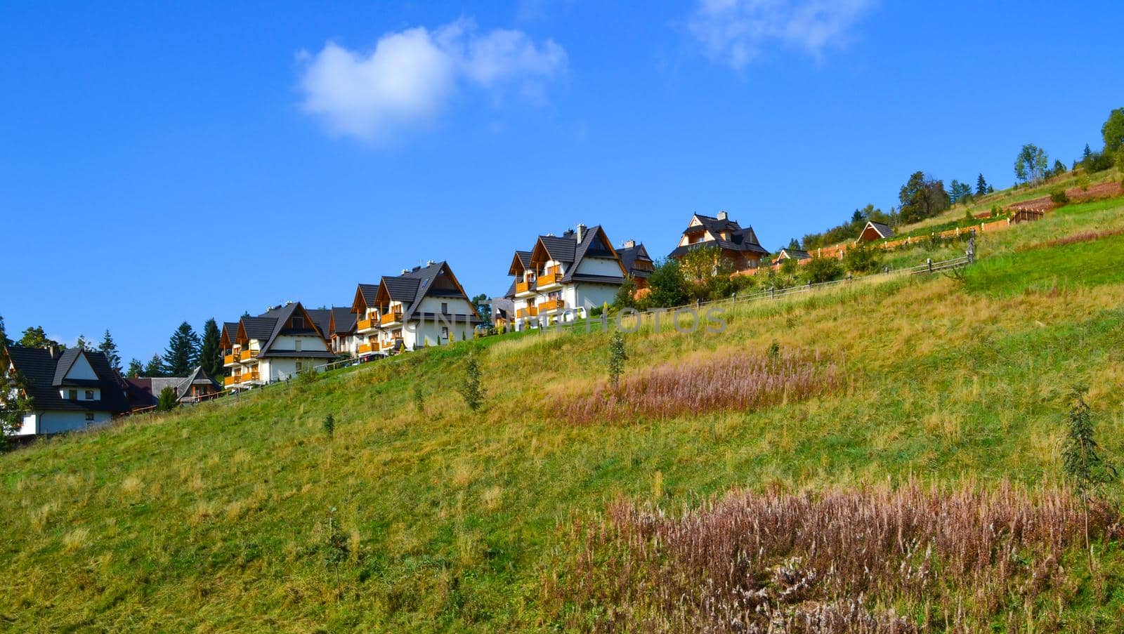 Mountain landscape with a village house in the foreground, a green meadow on the mountainside against a background of spruce trees on a bright sunny day.