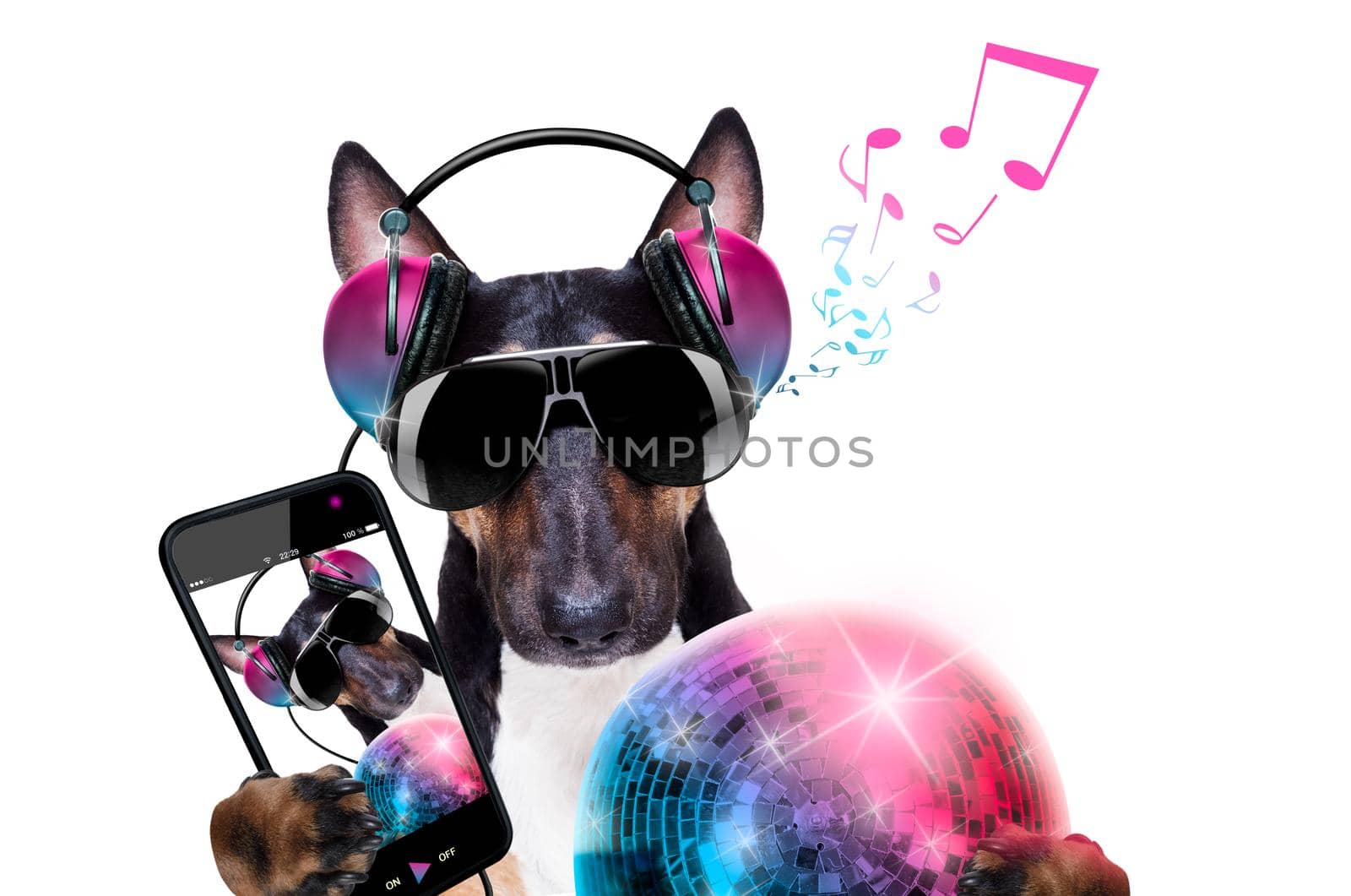 dj disco dancing music dog  by Brosch