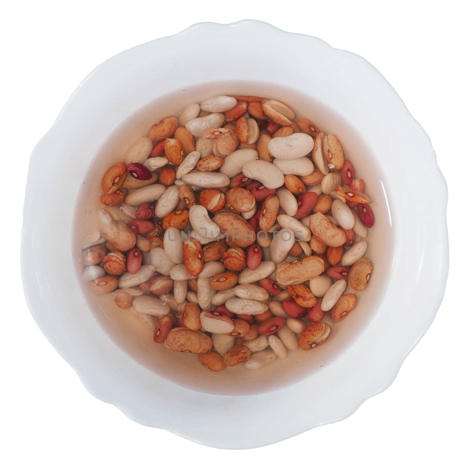 mixed beans including crimson, cannellini and red kidney beans in a bowl of water isolated over white background