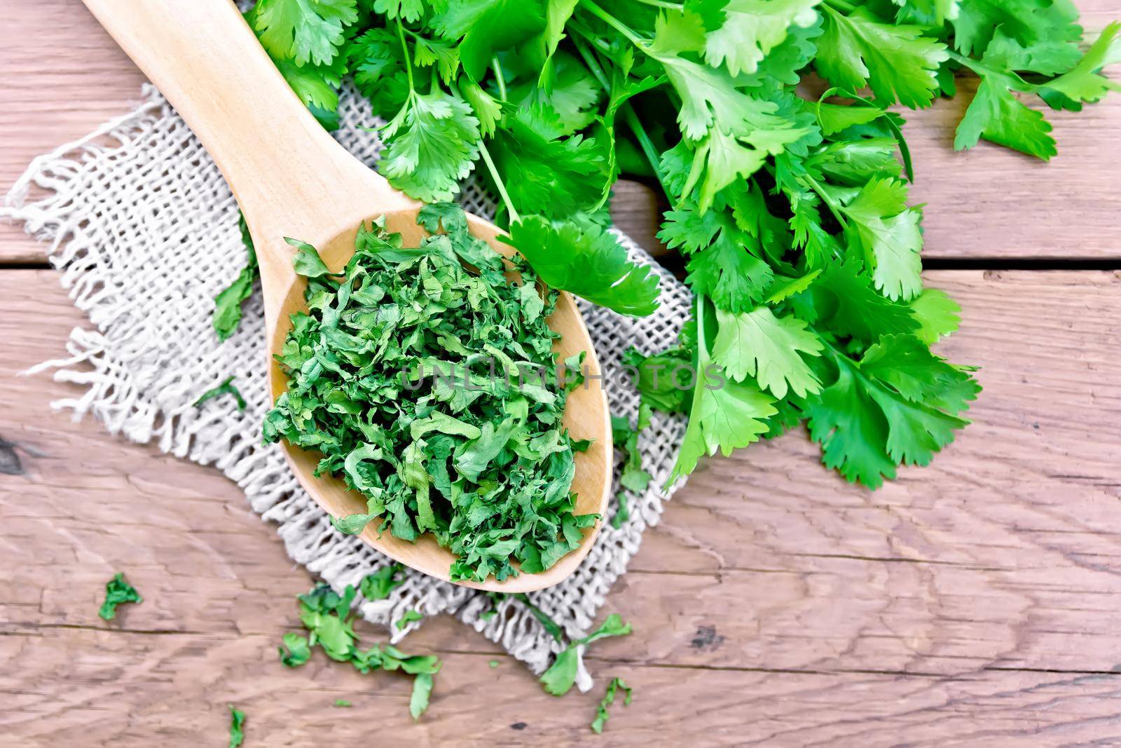 Cilantro dried in spoon on old board top by rezkrr
