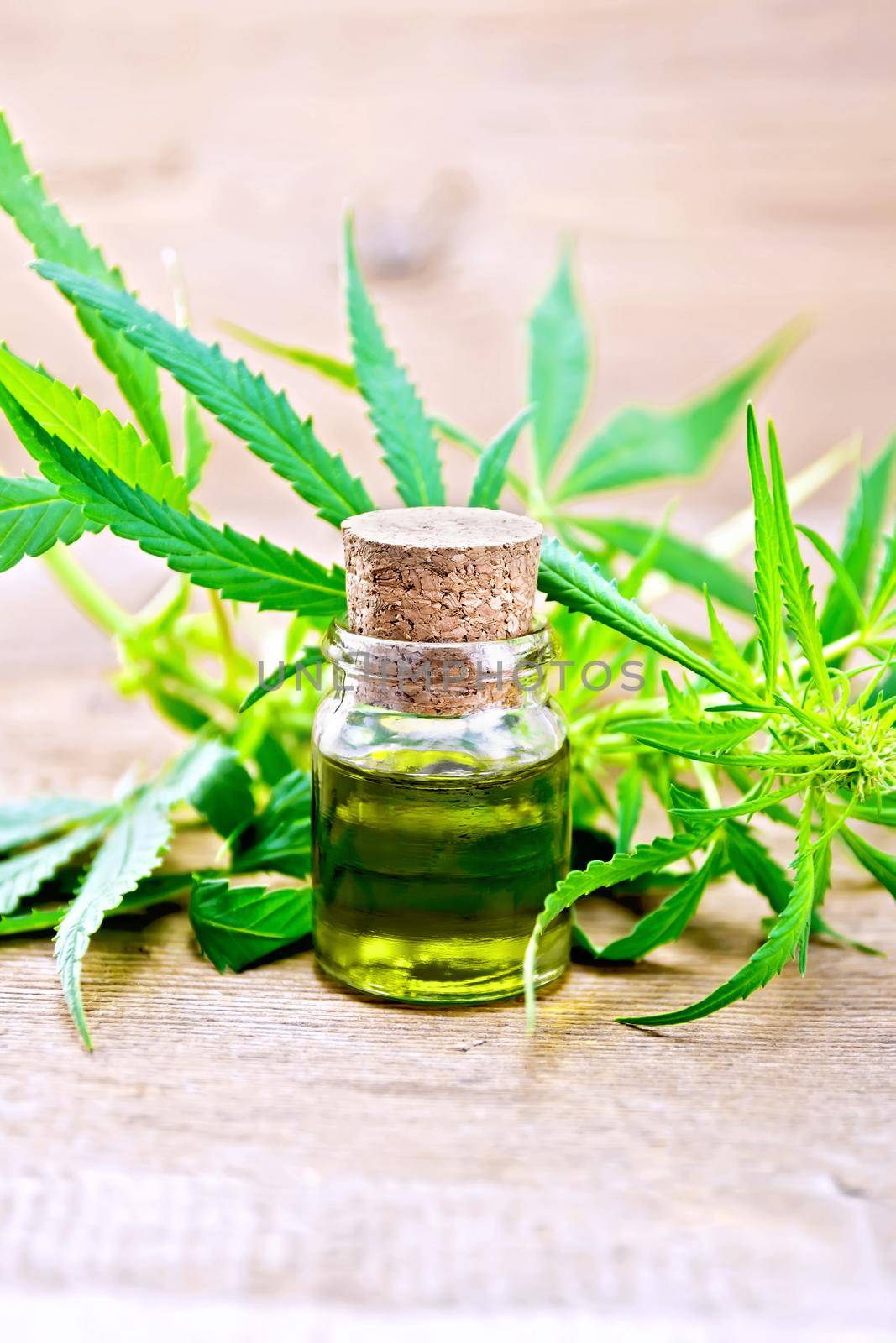 Hemp oil in a glass bottle, leaves and stalks of cannabis on the background of old wooden boards
