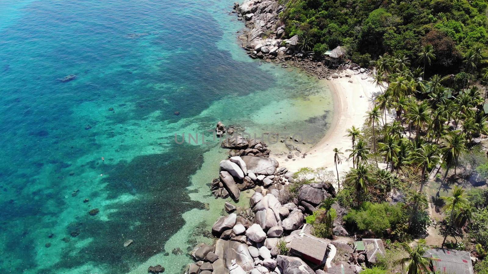 Bungalows and green coconut palms on tropical beach. Cottages on sandy shore of diving and snorkeling resort on Koh Tao paradise island near calm blue sea on sunny day in Thailand. Drone view