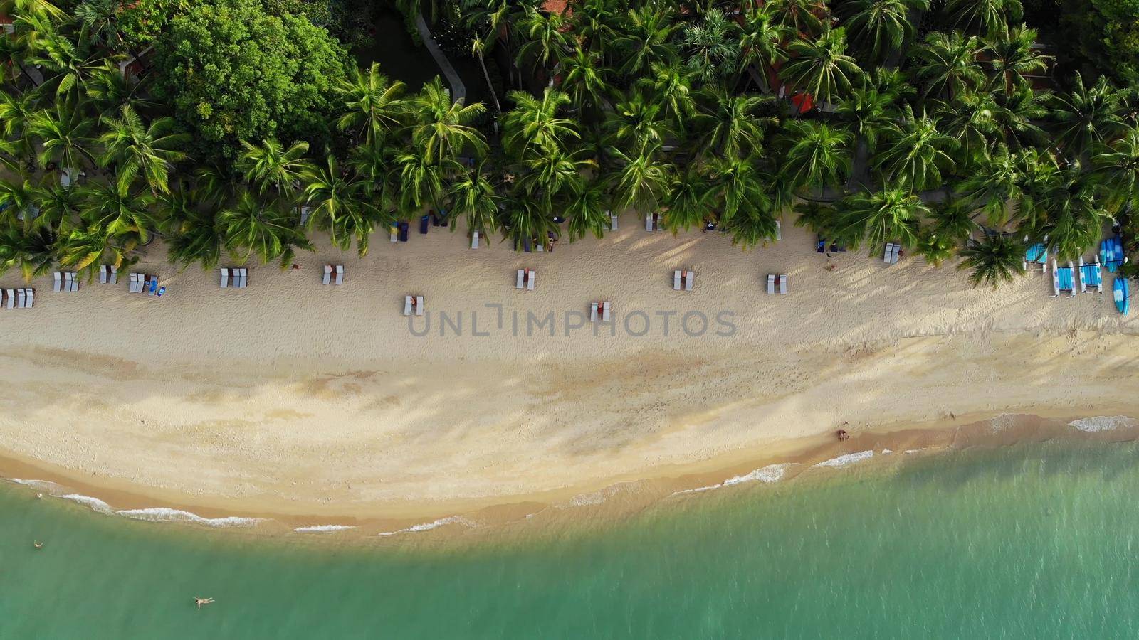 Blue lagoon and sandy beach with palms. Aerial view of blue lagoon and sun beds on sandy beach with coconut palms and roof bungalows. by DogoraSun