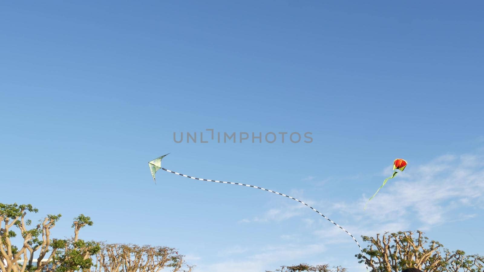 Colorful kite flying in blue sky over trees in Embarcadero Marina park, San Diego, California USA. Kids multi colored toy gliding mid-air in wind. Symbol of childhood, summertime and leisure activity by DogoraSun