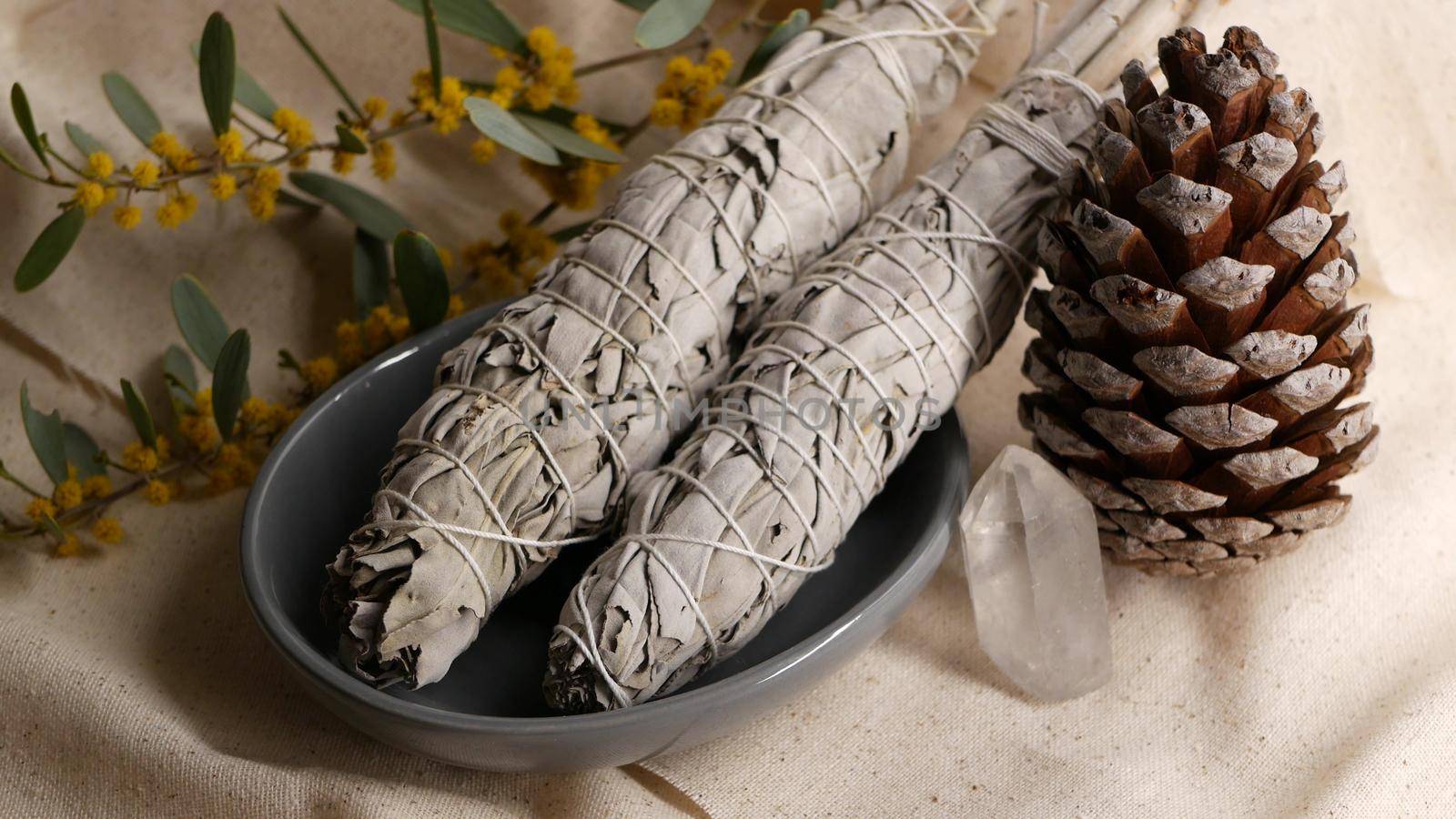 Dried white sage smudge stick, relaxation and aromatherapy. Smudging during psychic occult ceremony, herbal healing, yoga or aura cleaning. Essential incense for esoteric rituals and fortune telling.