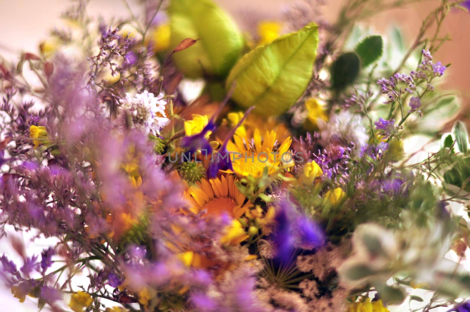 Closeup blurry shot of composed colorful bouquet with bright flowers. Colorful beautiful bouquet in closeup. by DogoraSun