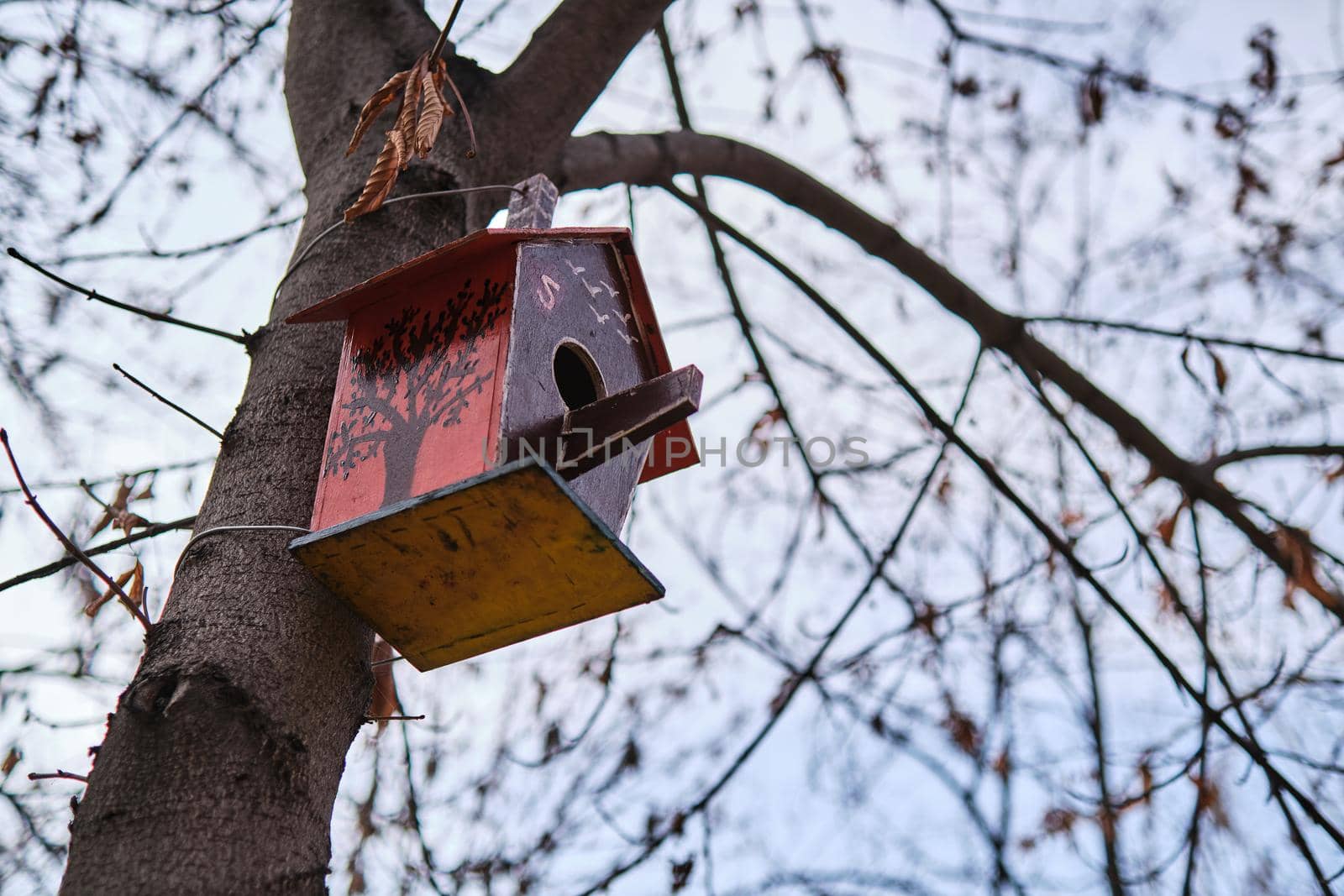 A wooden bird feeder is hanging on a tree. Family values. concept. Environmental protection