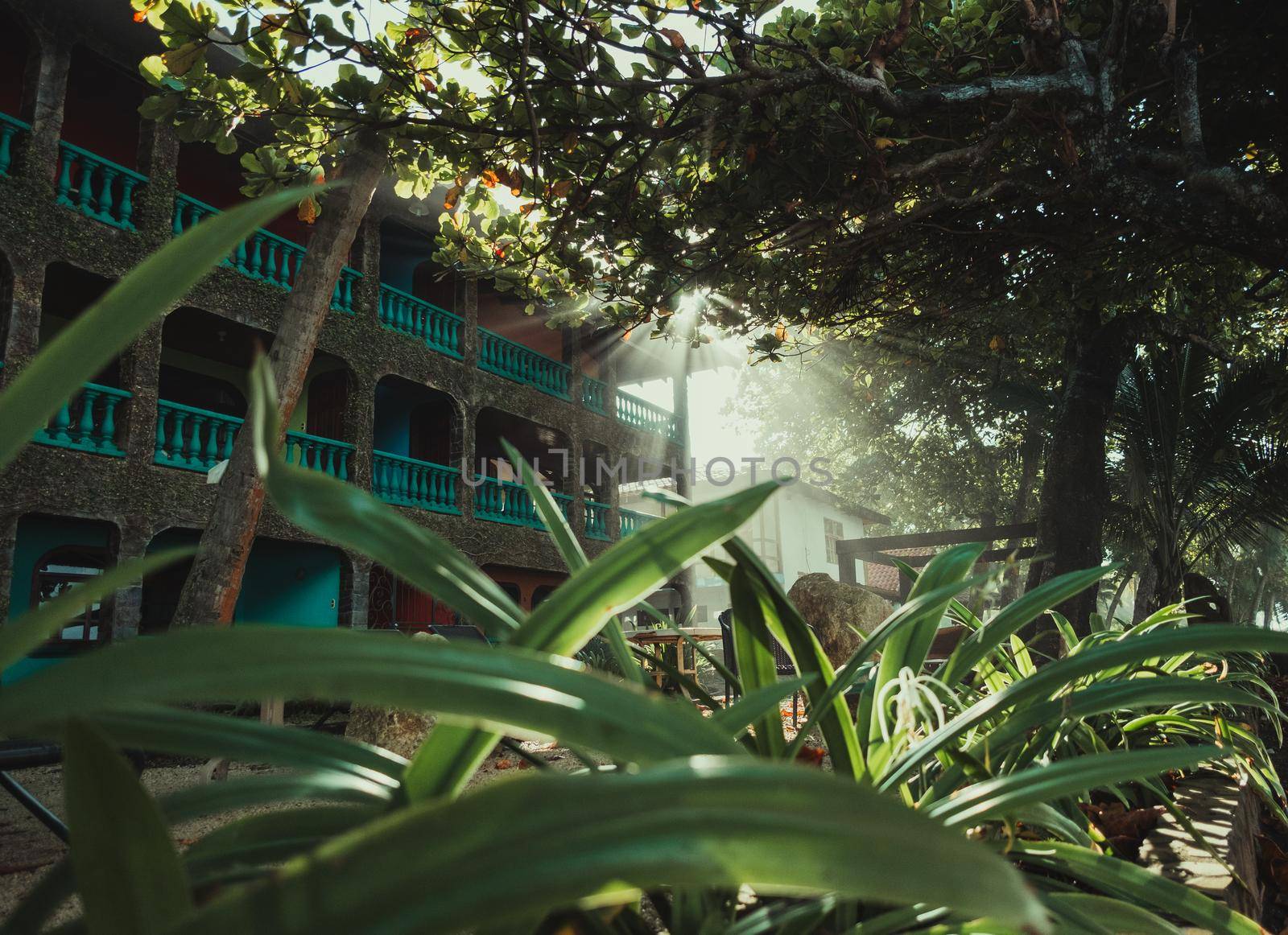 Beautiful view on the sunrise behind hotel and green leafs by Esperophoto