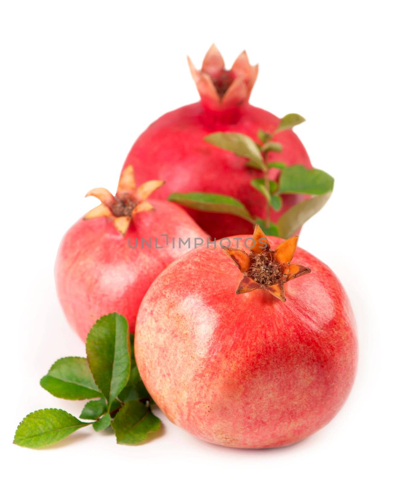 Ripe pomegranates with pomegranate leaves isolated on a white by aprilphoto