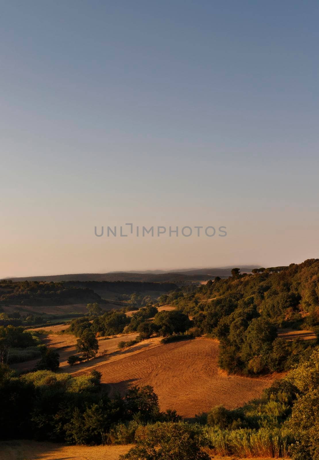 Beautiful landscape near Tuscania -Italy - at sunrise , hills and trees between  cultivated fields
