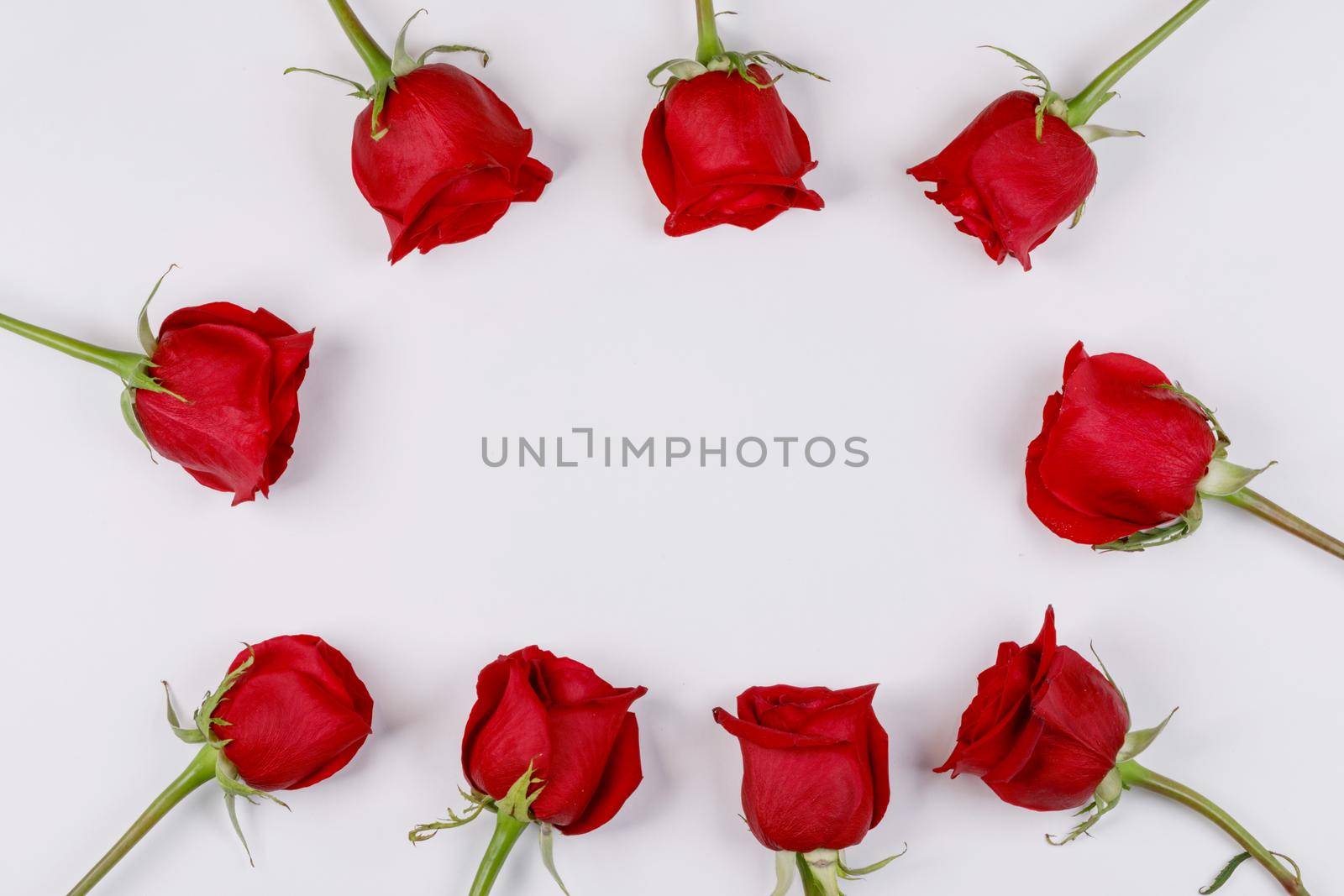 Frame made of red roses on white background Valentines day background