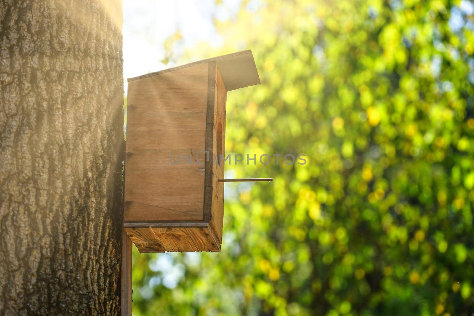 A birdhouse made of plywood on a thick tree trunk and natural background in Sunny day.