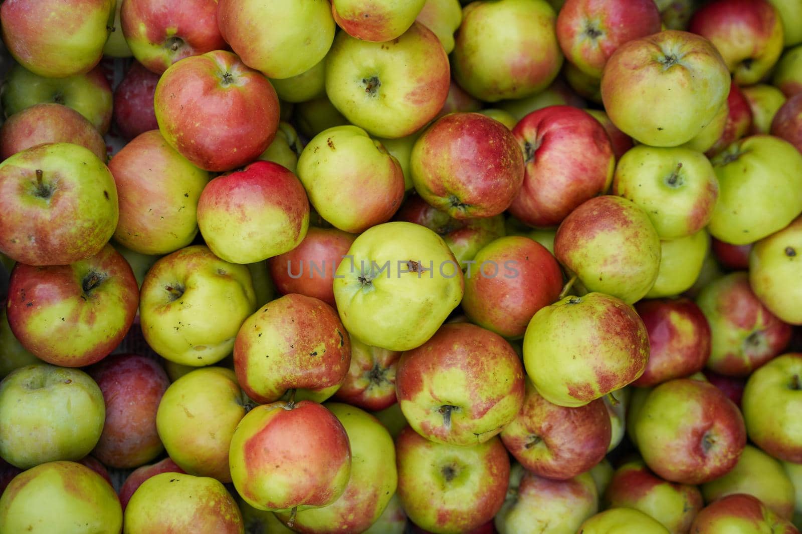 Natural background with red-green apples.