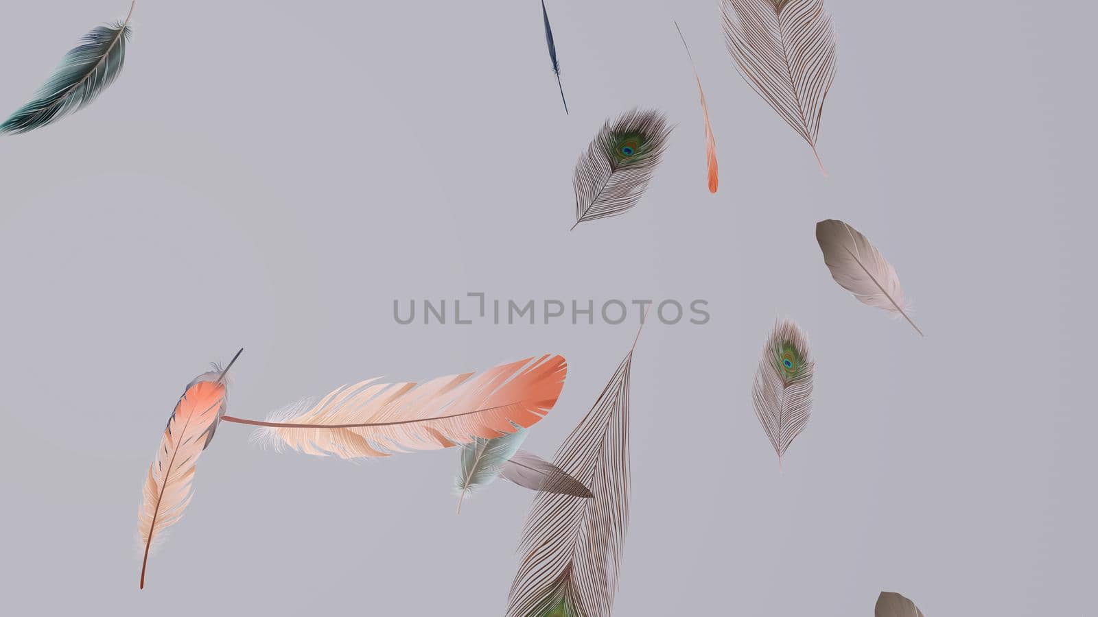 Soft silky feathers isolated on background with copy space for text and advertisement. Feather background with delicate fur and realistic looks. 3D rendering