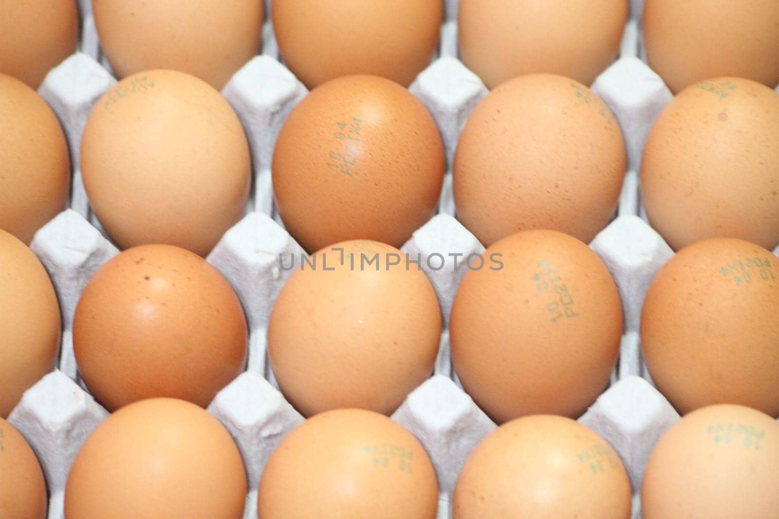 Closeup view with selective focus on fresh farm chicken eggs in an egg-carton or egg holder or paper tray placed in market for sale