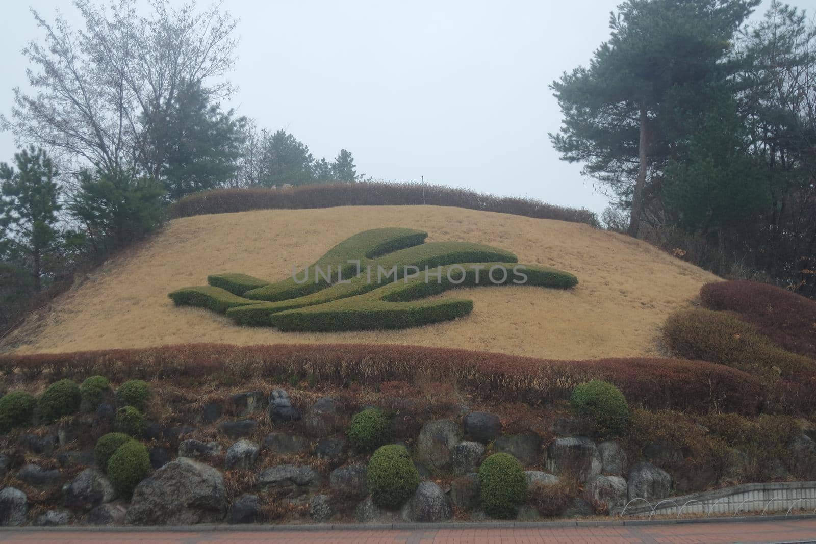 A beautiful grass cutting shape on a small mountain by Photochowk
