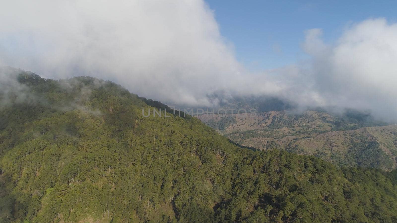 Aerial view of mountains covered forest, trees in clouds and fog. Cordillera region. Luzon, Philippines. Slopes of mountains with evergreen vegetation. Mountainous tropical landscape.
