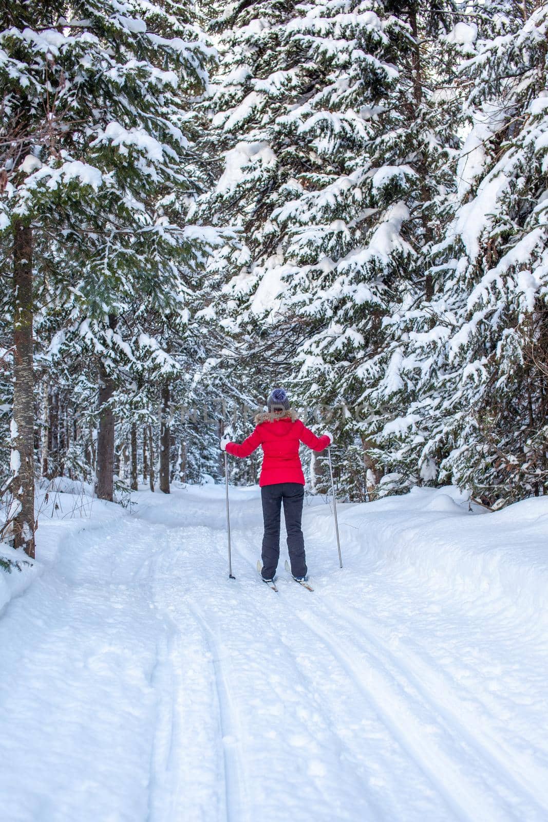 A girl in a red jacket goes skiing in a snowy forest in winter.  by AnatoliiFoto