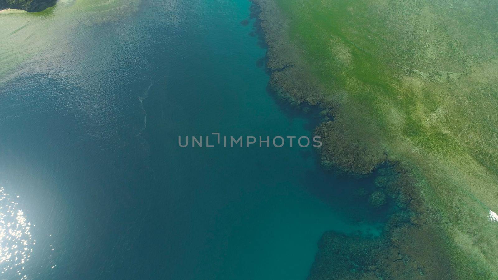 Beautiful coral reef Seascape with a coral reef in clear turquoise water. Philippines, Luzon.