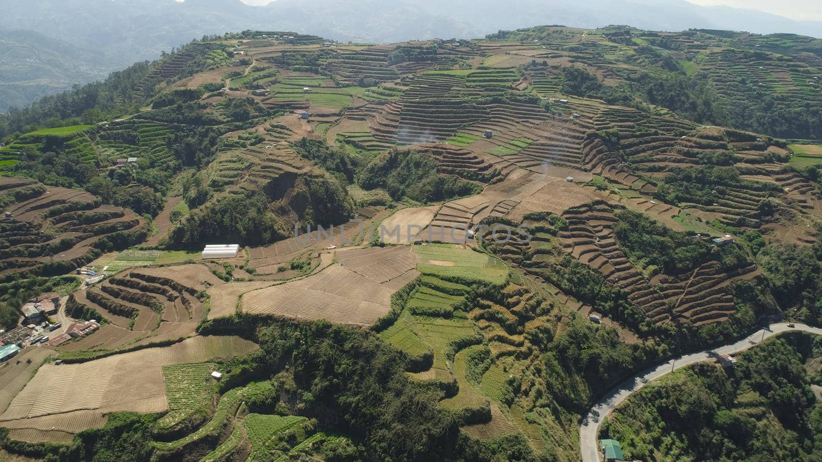 Aerial view of rice terraces and agricultural farm land on the slopes of mountains valley. Cultivation of agricultural products in mountain province. Mountains covered forest, trees. Cordillera region. Luzon, Philippines, Baguio province.